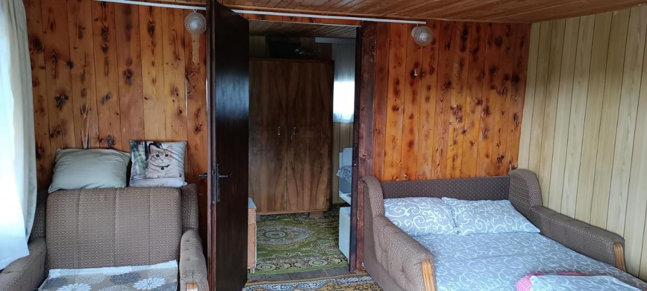 Vikendica Ovcar Banja Βίλα Τσάτσακ Εξωτερικό φωτογραφία